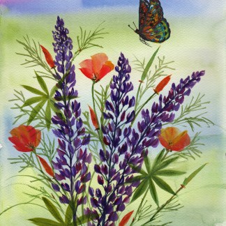 CA Poppies, Lupine and Golden Butterfly
